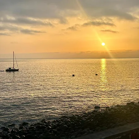 Daire Palheiro Jardim By Ola Madeira *