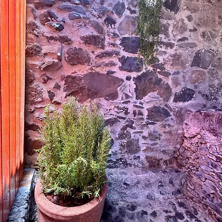 Апартаменты Palheiro Jardim By Ola Madeira Паул-ду-Мар