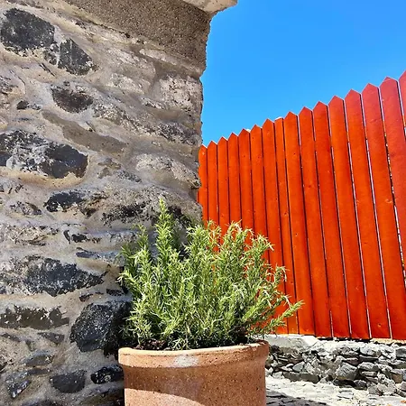 Palheiro Jardim By Ola Madeira Daire Paul do Mar (Madeira)