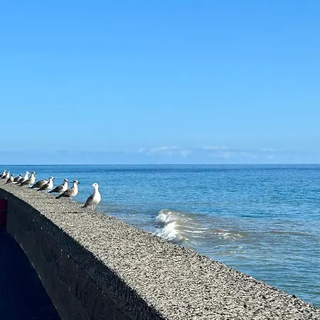 Palheiro Jardim By Ola Madeira Апартаменты