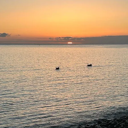 Palheiro Jardim By Ola Madeira Daire