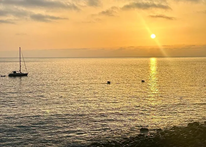 דירה Palheiro Jardim By Ola Madeira *