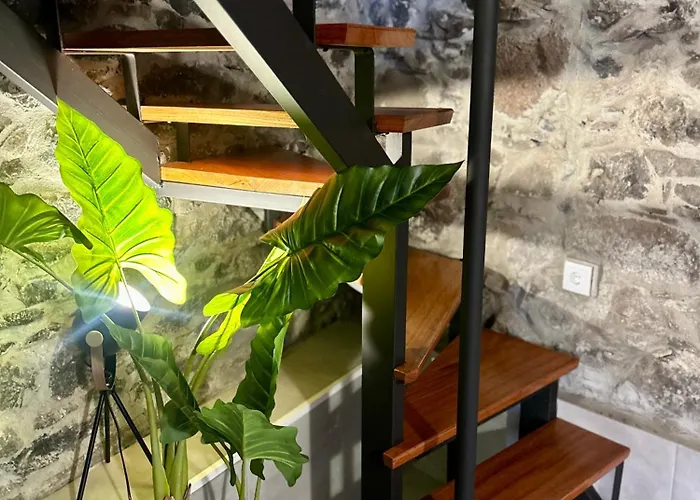 Palheiro Jardim By Ola Madeira דירה פול דו מאר