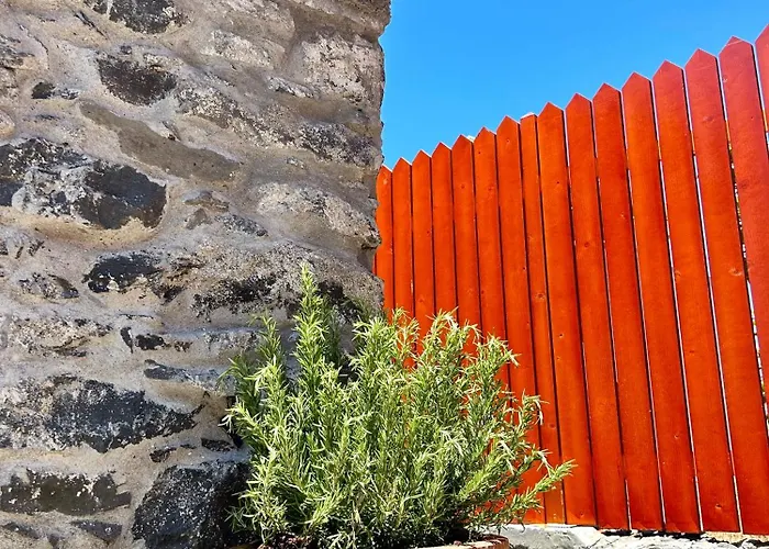 Palheiro Jardim By Ola Madeira דירה פול דו מאר