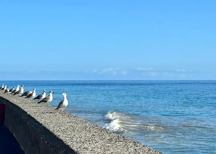 Palheiro Jardim By Ola Madeira דירה